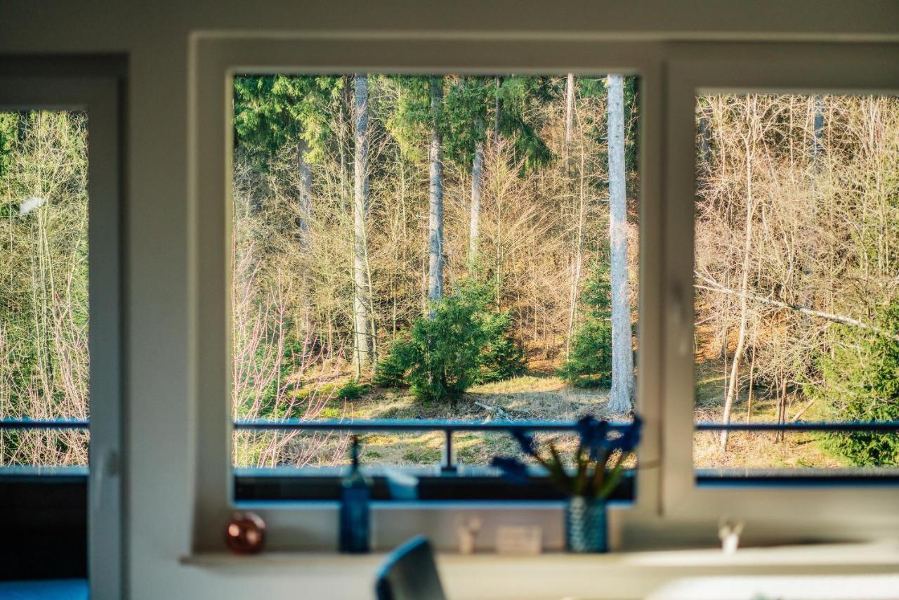 Ferienwohnung Kiefer Braunlage Εξωτερικό φωτογραφία